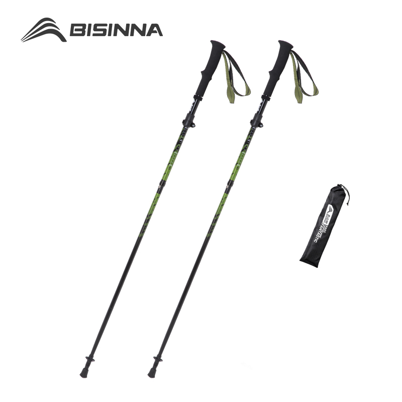 Trekking Pole Carbon - Bâtons de randonnée en fibre de