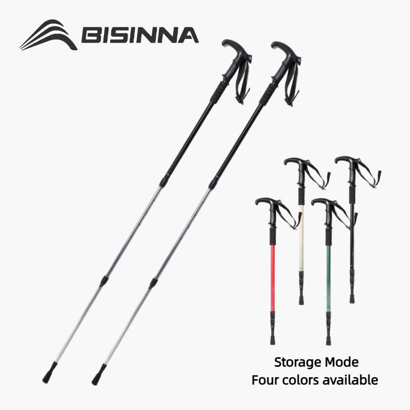 Trekking Pole Carbon - BISINNA 2 bâtons de marche télescopiques