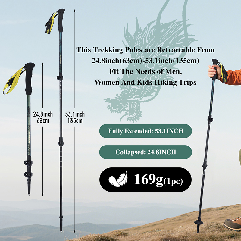 Bâton de randonnée en fibre de - Trekking Pole Carbon avis et prix