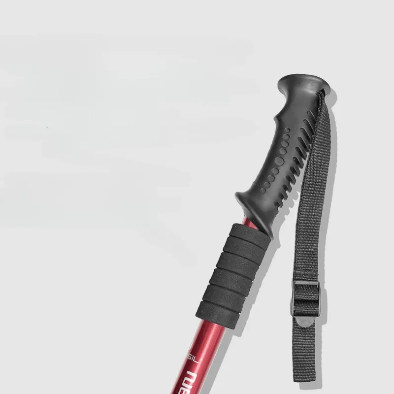 Bâtons de trekking réglables a - Trekking Pole Carbon avis et prix